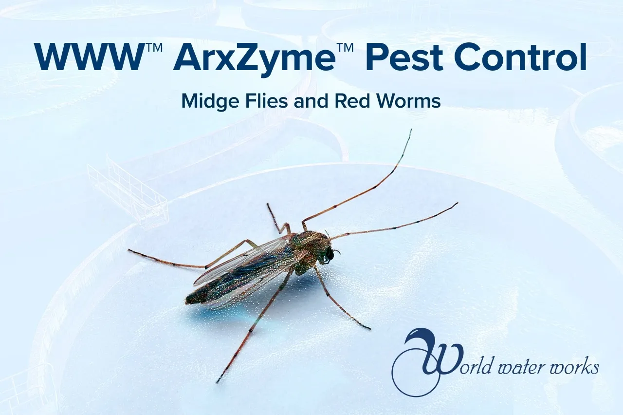 Biological Larviciding for Midge Fly Management in Wastewater Lagoons and Ponds