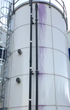 Egg Facilities, Connecticut Case Study