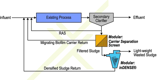 indense and migrate