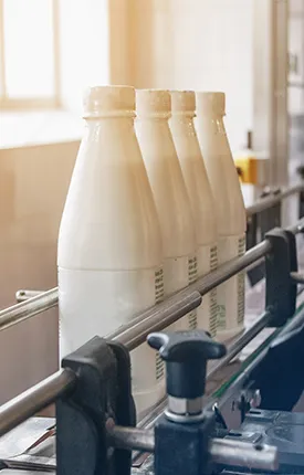 WWW Dairy Success Story Case Study